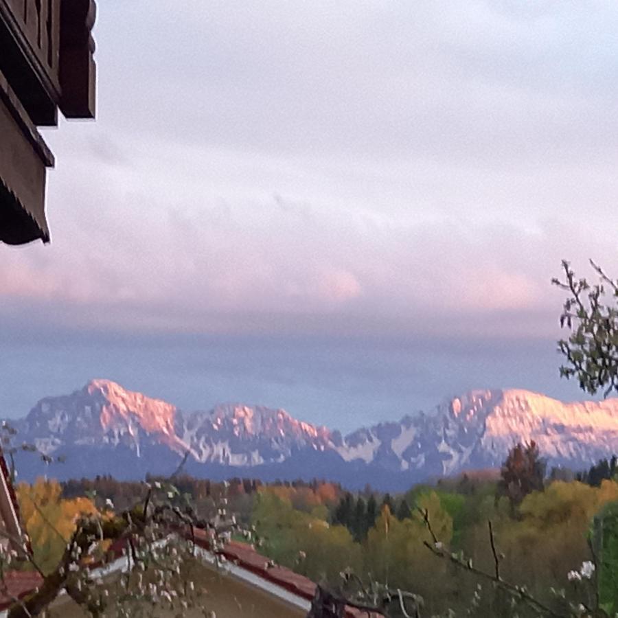 Landhof Ella - Ferienhaus Vor Den Toren Salzburgs Petting 외부 사진