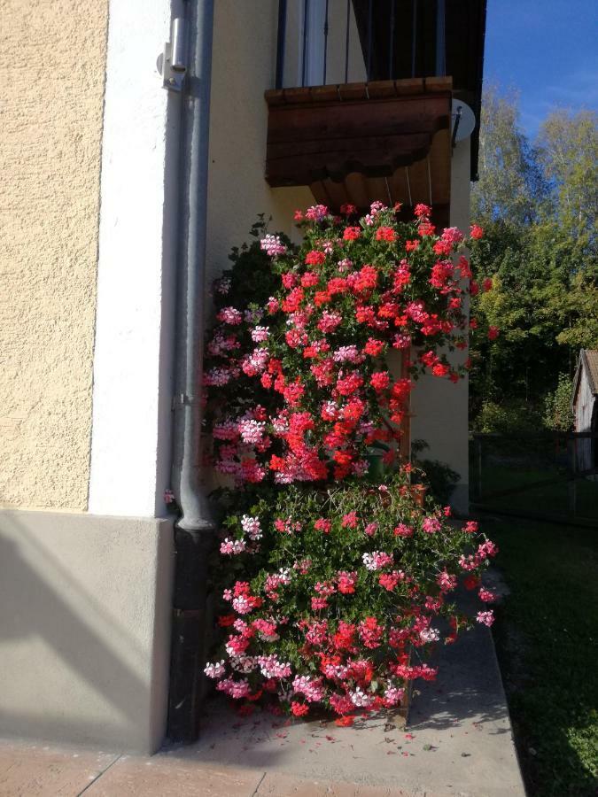 Landhof Ella - Ferienhaus Vor Den Toren Salzburgs Petting 외부 사진