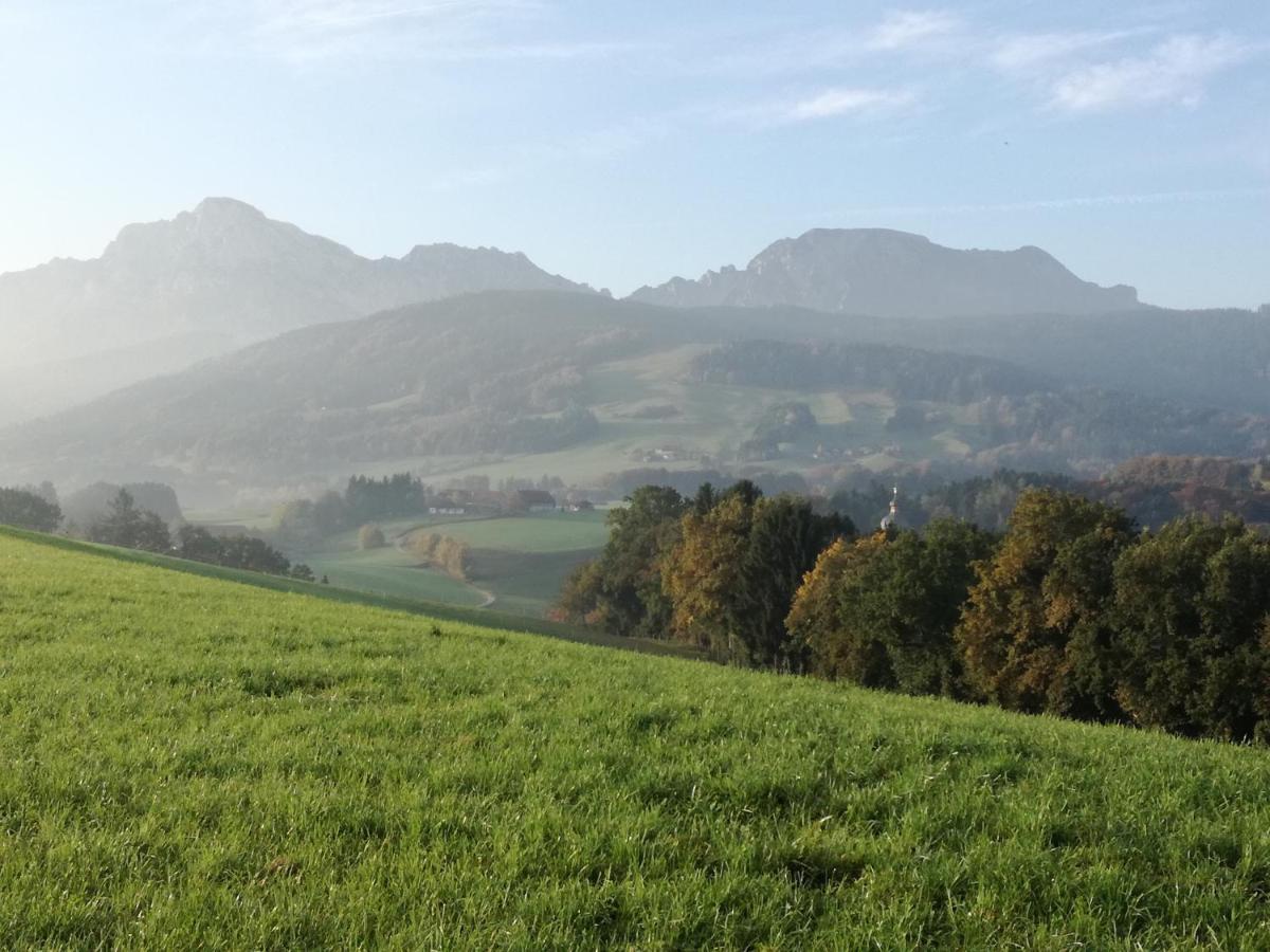Landhof Ella - Ferienhaus Vor Den Toren Salzburgs Petting 외부 사진